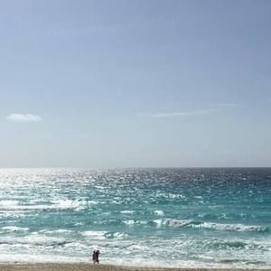 Meet your Posher, Phil